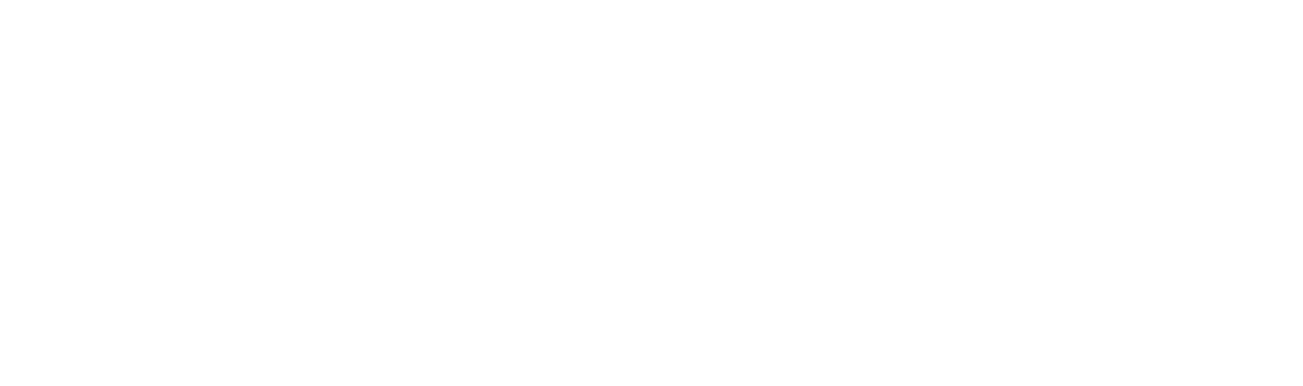 Koni logo white