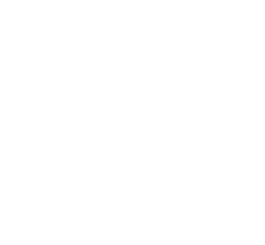 renault-logo-white